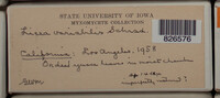 Image Associated With the Occurence
